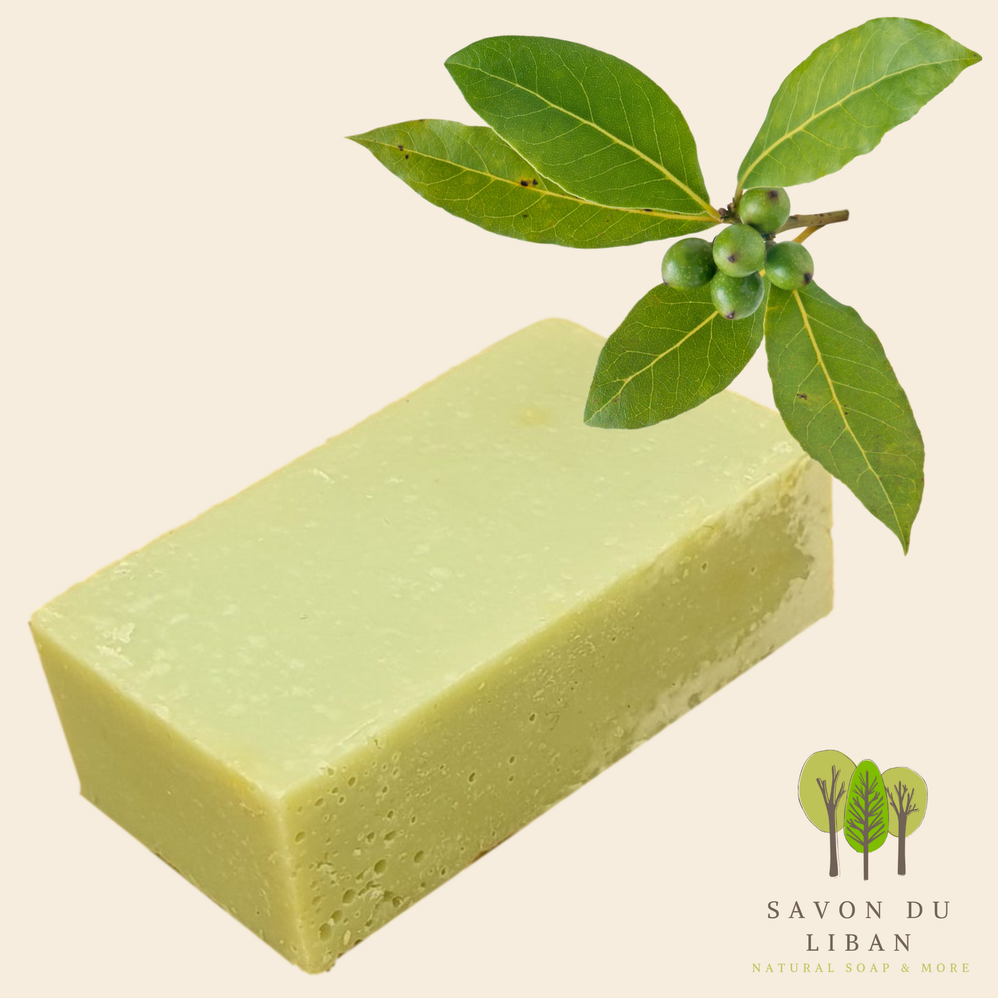 Floralux: "Extra Laurel" Soap Bars by Savon Du Liban, handmade and natural