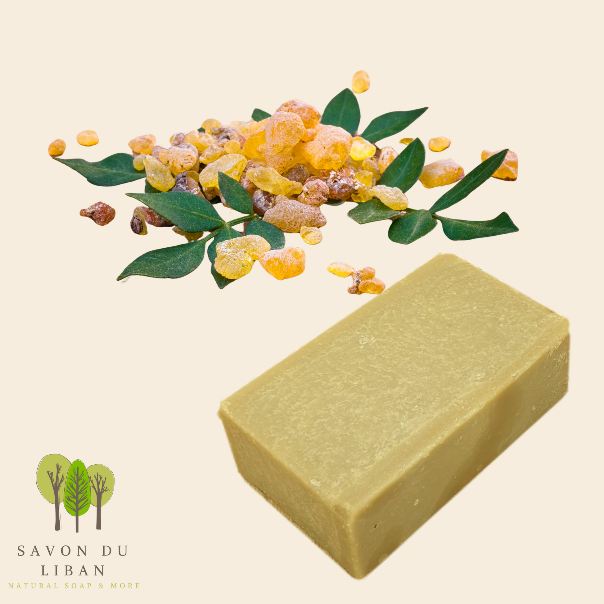 Floralux: "Frankincense" Soap Bars by Savon Du Liban, handmade and natural