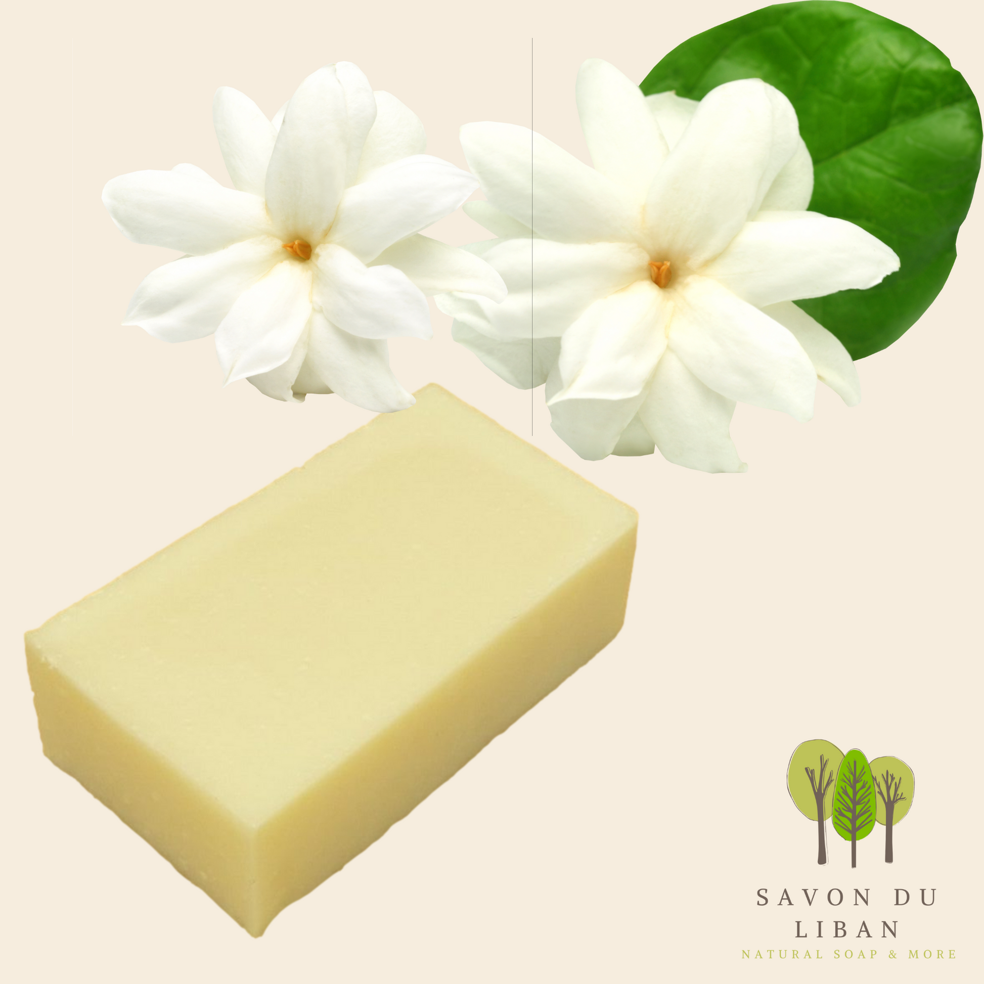 Floralux: "Jasmine" Soap Bars by Savon Du Liban, handmade and natural