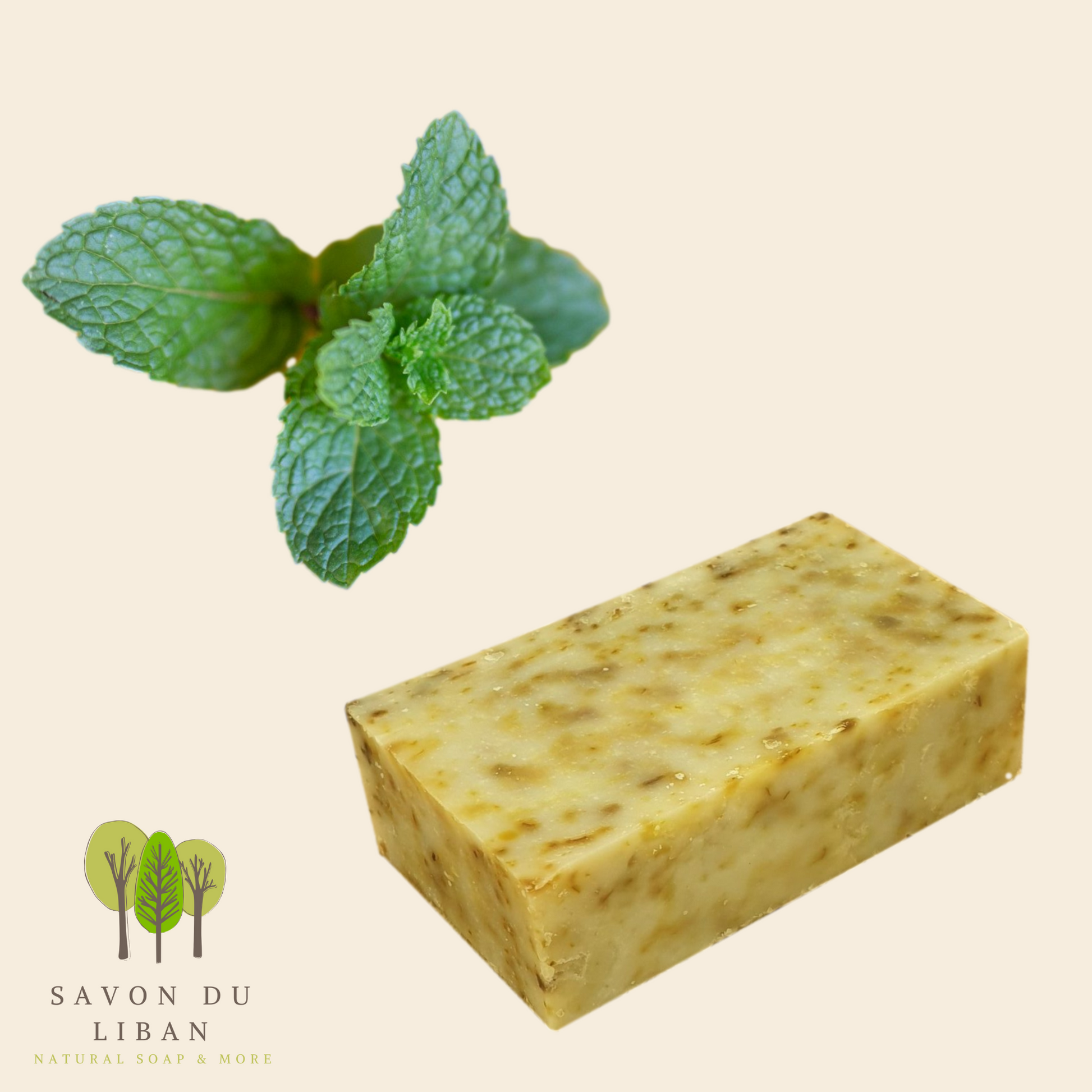 Floralux: "Mint" Soap Bars by Savon Du Liban, handmade and natural