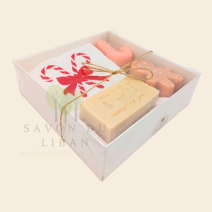Sugarplum Surprise Handmade Christmas gift box with candy cane and gingerbread soaps and Candy-embroidered Christmas towel