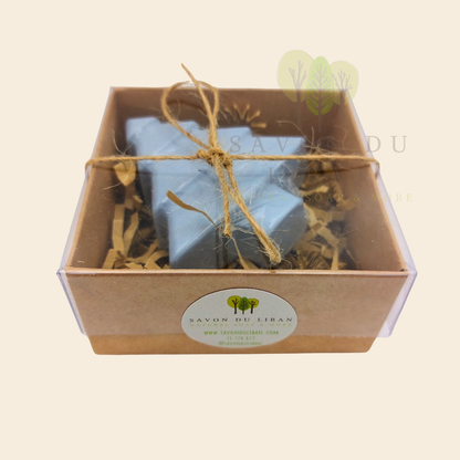 Festive tree-shaped soap in kraft box with clear window